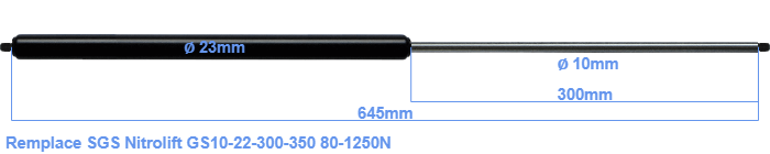SGS Nitrolift GS10-22-300-350