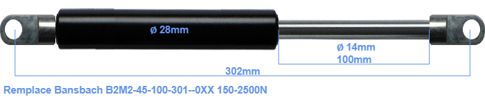 Bansbach B2M2-45-100-301--0XX
